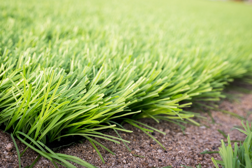 Artificial Grass Diss